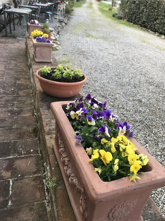 Bed and Breakfast Residenzia Del Sogno Castellina in Chianti Bed & Breakfast