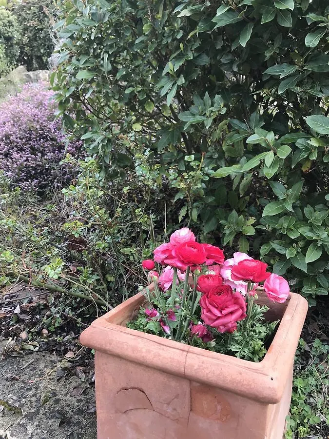 *** Bed & Breakfast Bed and Breakfast Residenzia Del Sogno Castellina in Chianti Italia