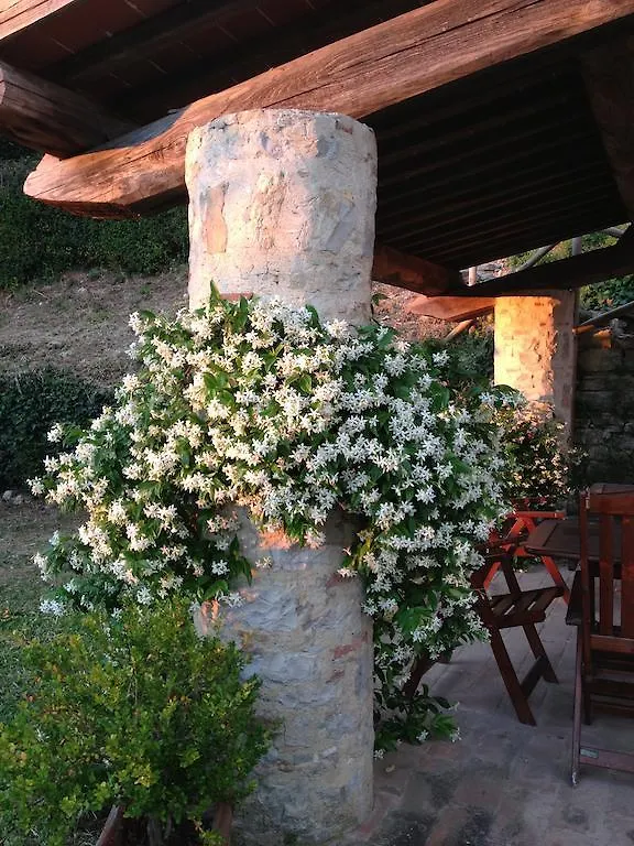 Bed and Breakfast Residenzia Del Sogno Castellina in Chianti